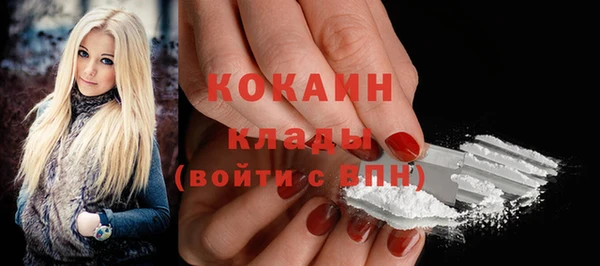 спиды Гусев