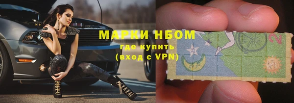спиды Гусев