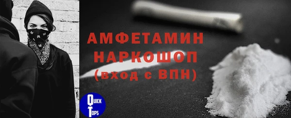 спиды Гусев