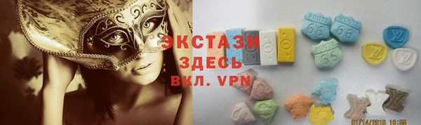 спиды Гусев