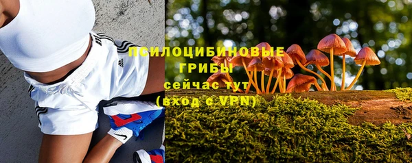 MESCALINE Гусиноозёрск