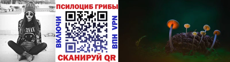 Псилоцибиновые грибы Magic Shrooms  сколько стоит  Зубцов 